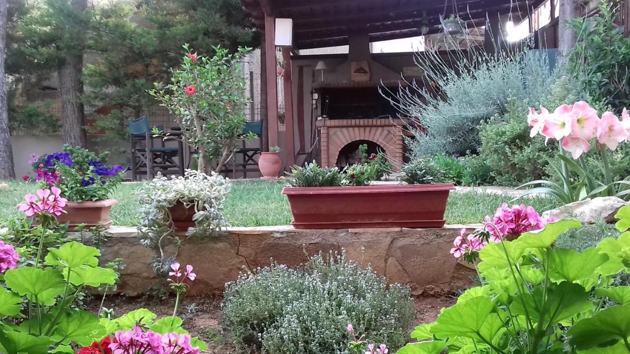 Home Sweet Home Луца Экстерьер фото